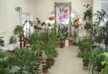 Photo of ПВХ окна для зимнего сада