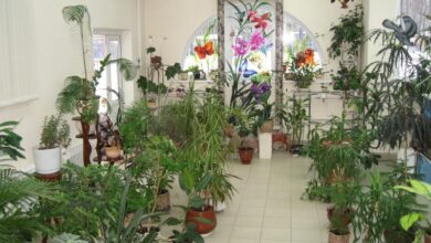 Photo of ПВХ окна для зимнего сада