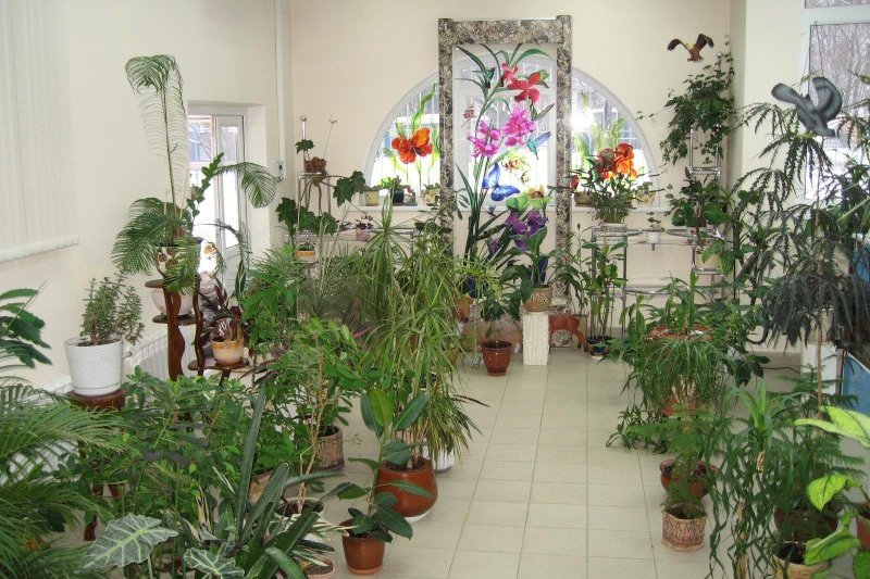 Фото 49 — ПВХ окна для зимнего сада